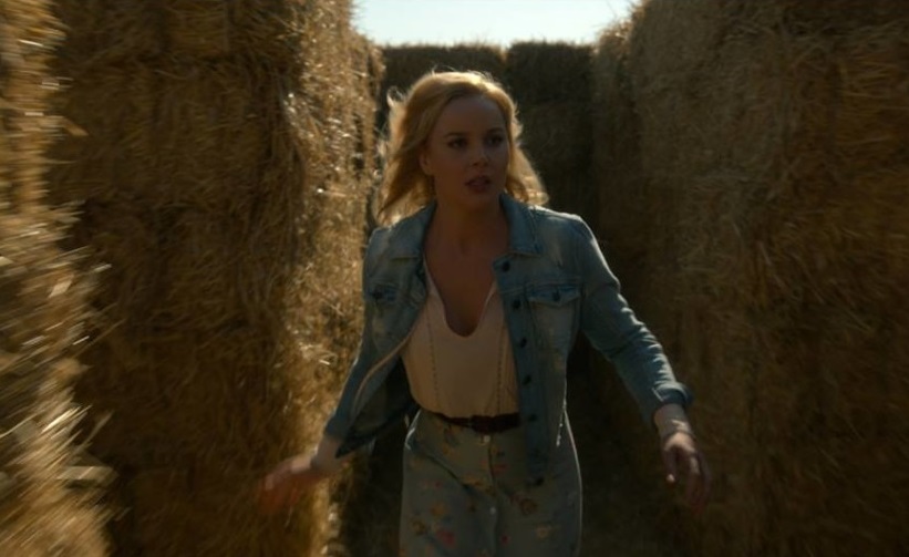 abbie-cornish-lavender-825x510