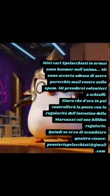 Miei cari Spelacchiati io ormai sono boomer nell'anima... Mi sono accorta adesso di avere parecchie mail vostre nello spam. Mi prenderei volentieri a schiaffi.
Giuro che d'ora in poi controllerò la posta con la regolarità dell'intestino della Marcuzzi col suo bifidus regularis.
Quindi se vi va di scambiare quattro ciance: pensierispelacchiati@gmail.com 